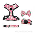 Dog harness Collar and Leash for small dog